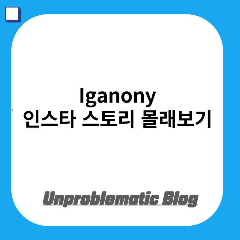 Iganony 인스타 스토리 몰래보기